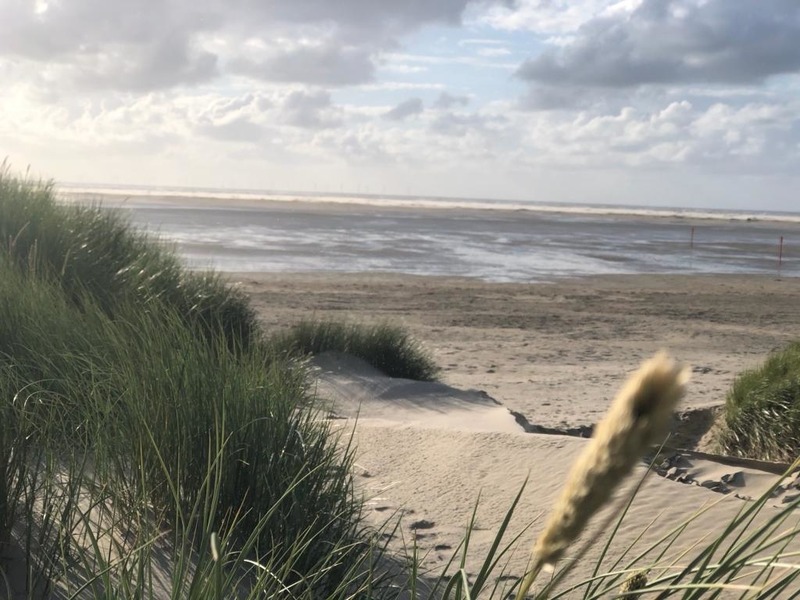 Foto 14 Ferienwohnung Ostfriesland Borkum Lütje Eiland (Objekt 36105) Urlaub