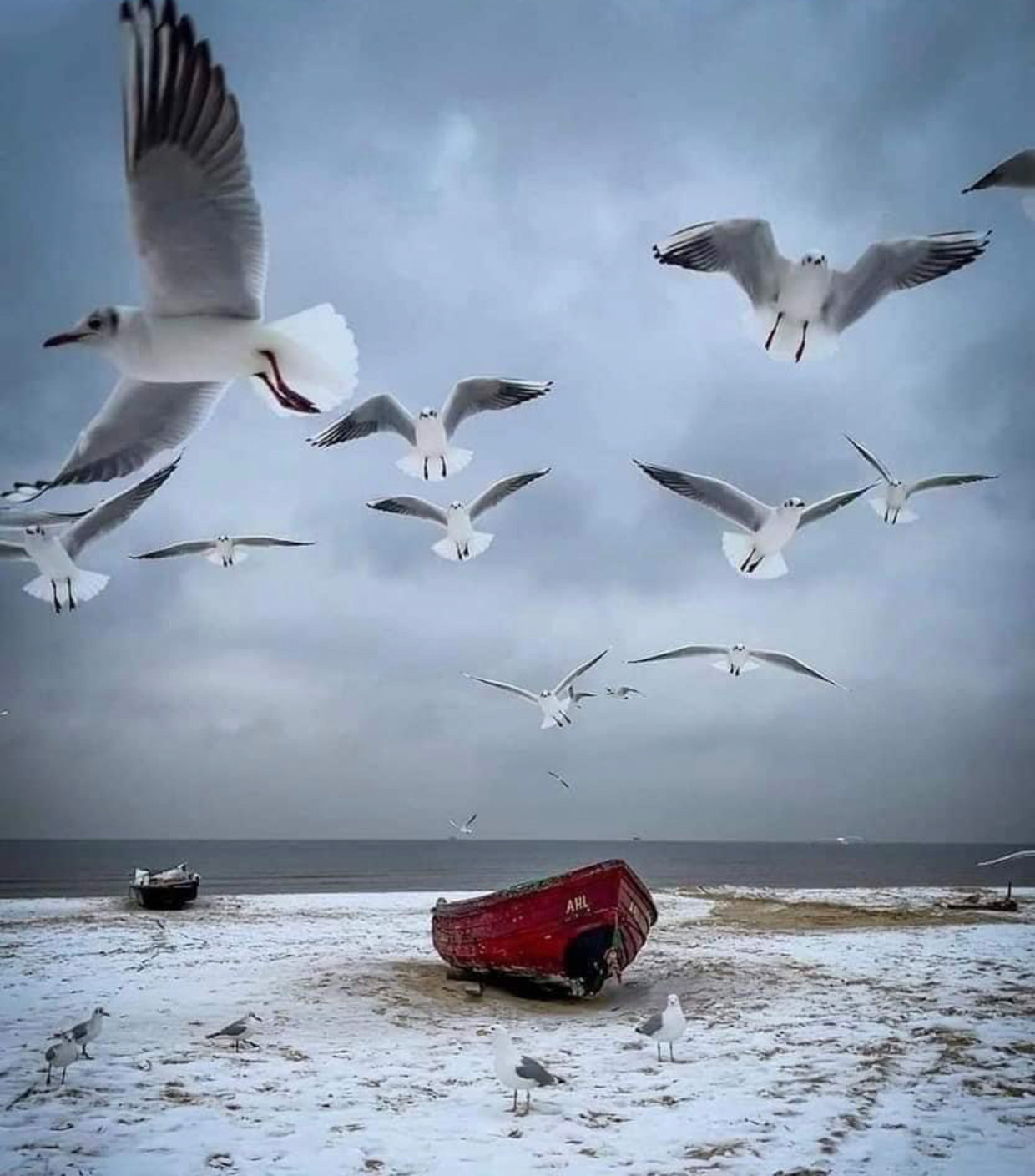 foto