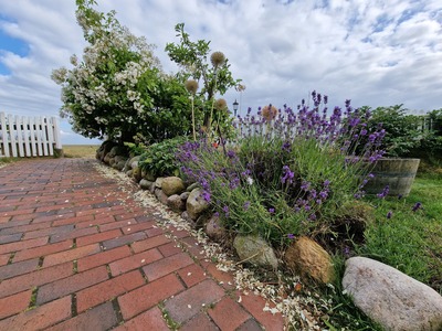 Foto 12 Ferienwohnung Ostfriesland Spiekeroog *** Studio-Inselrose *** (Objekt 92361) suchen