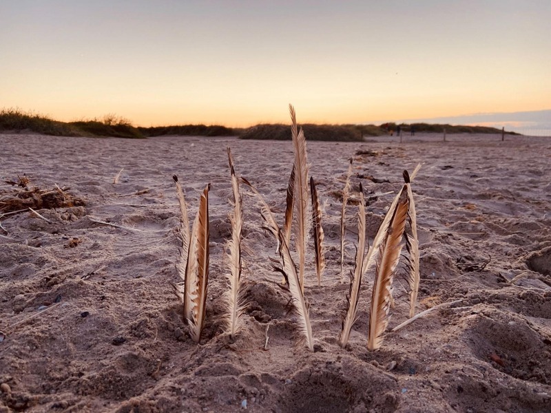 Foto 16 Ferienwohnung Ostfriesland Friesland Ferien im Wangerland - Haus Wiesenweg - Ferienwohnung  1 (1.OG) (Objekt 28501) buchen