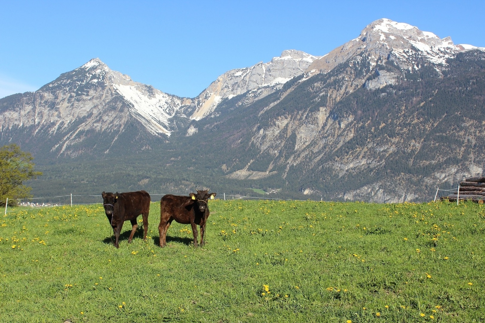 Ferienwohnung Alpbachtal Nähe Ski & Wandergebiet by FeWo-PLAN (REIT100 ) — Foto 30