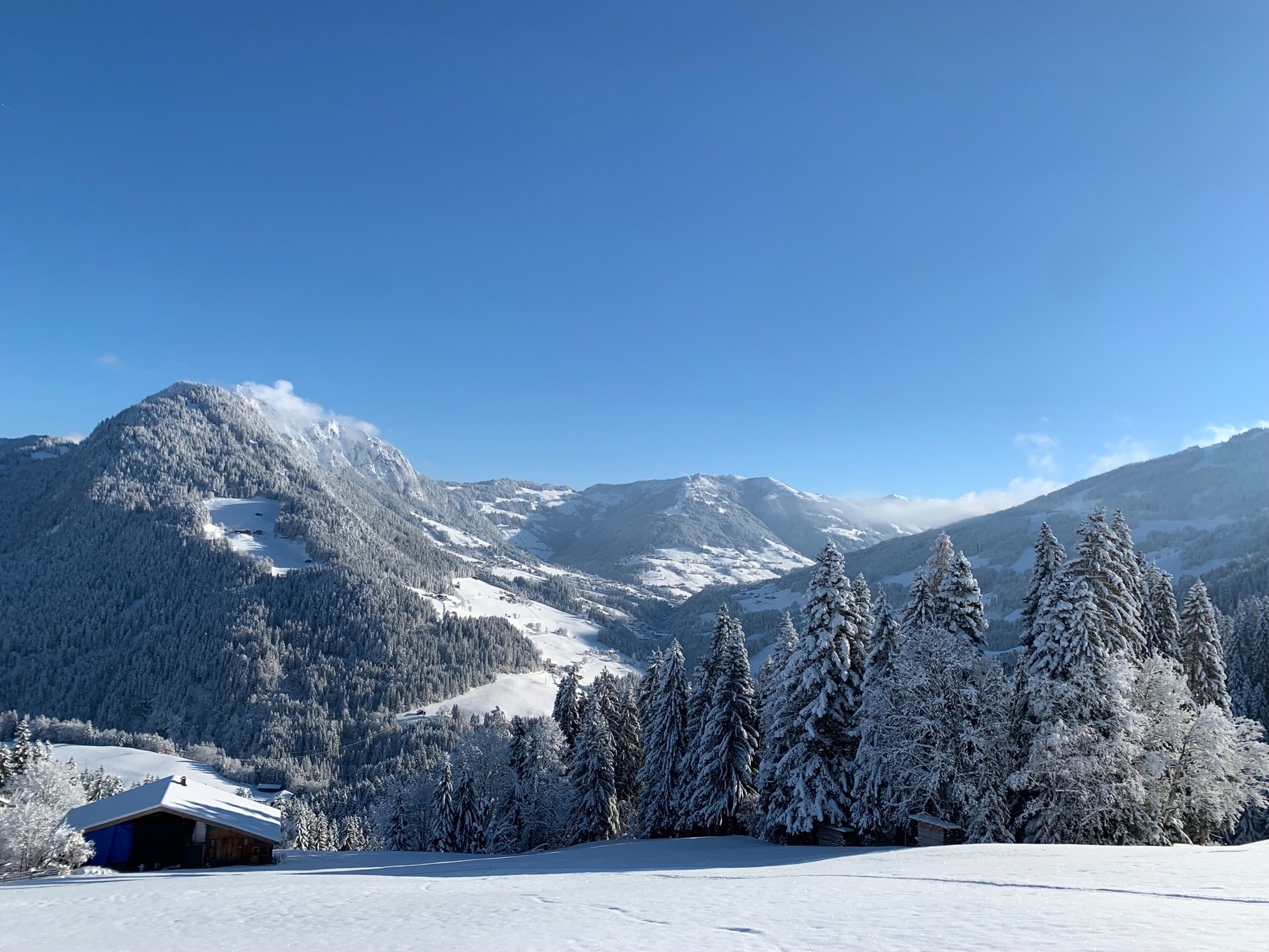 Ferienwohnung Alpbachtal Nähe Ski & Wandergebiet by FeWo-PLAN (REIT100 ) — Foto 23