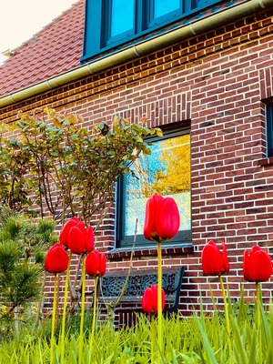 Foto 16 Ferienwohnung Ostfriesland Butjadingen Nordapart Smutje (Objekt 28996) buchen