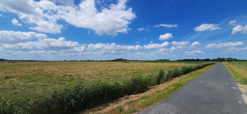 Foto 21 Ferienwohnung Ostfriesland Butjadingen Nordapart Smutje (Objekt 28996) buchen