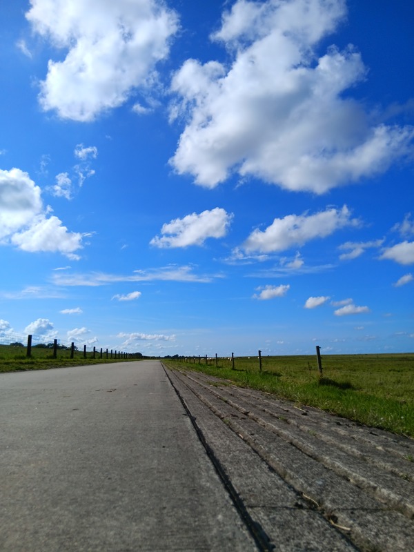 Foto 25 Ferienwohnung Ostfriesland Butjadingen Nordapart Smutje (Objekt 28996) Reise