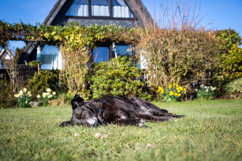 Foto 7 Ferienhaus Ostfriesland Butjadingen Ferienhaus Küstenkind (Objekt 34288) suchen