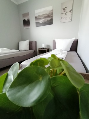 Foto 16 Ferienwohnung Ostfriesland Oldenburg & Umgebung Ferienhaus Devilina mit Sauna und Kamin am Harkebrügger See (Objekt 34919) buchen