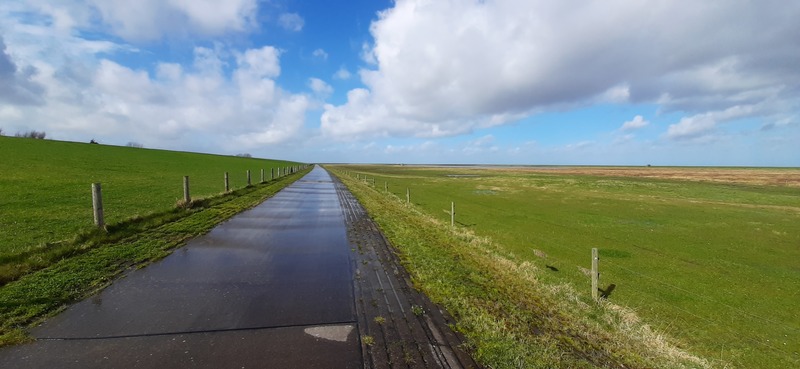 Foto 21 Ferienwohnung Ostfriesland Butjadingen Apart Lachmöwe (Objekt 35481) buchen