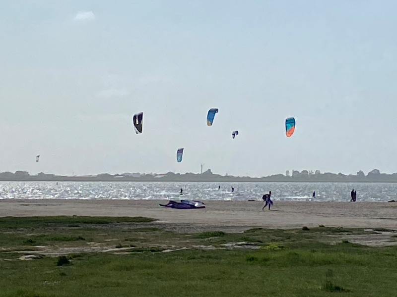 Foto 23 Ferienhaus Ostfriesland Friesland Ferienhaus Fenke (Objekt 59044) Nordsee