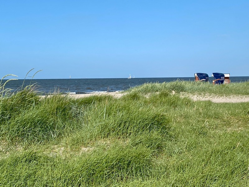 Foto 21 Ferienhaus Ostfriesland Friesland Ferienhaus Fenke (Objekt 59044) buchen