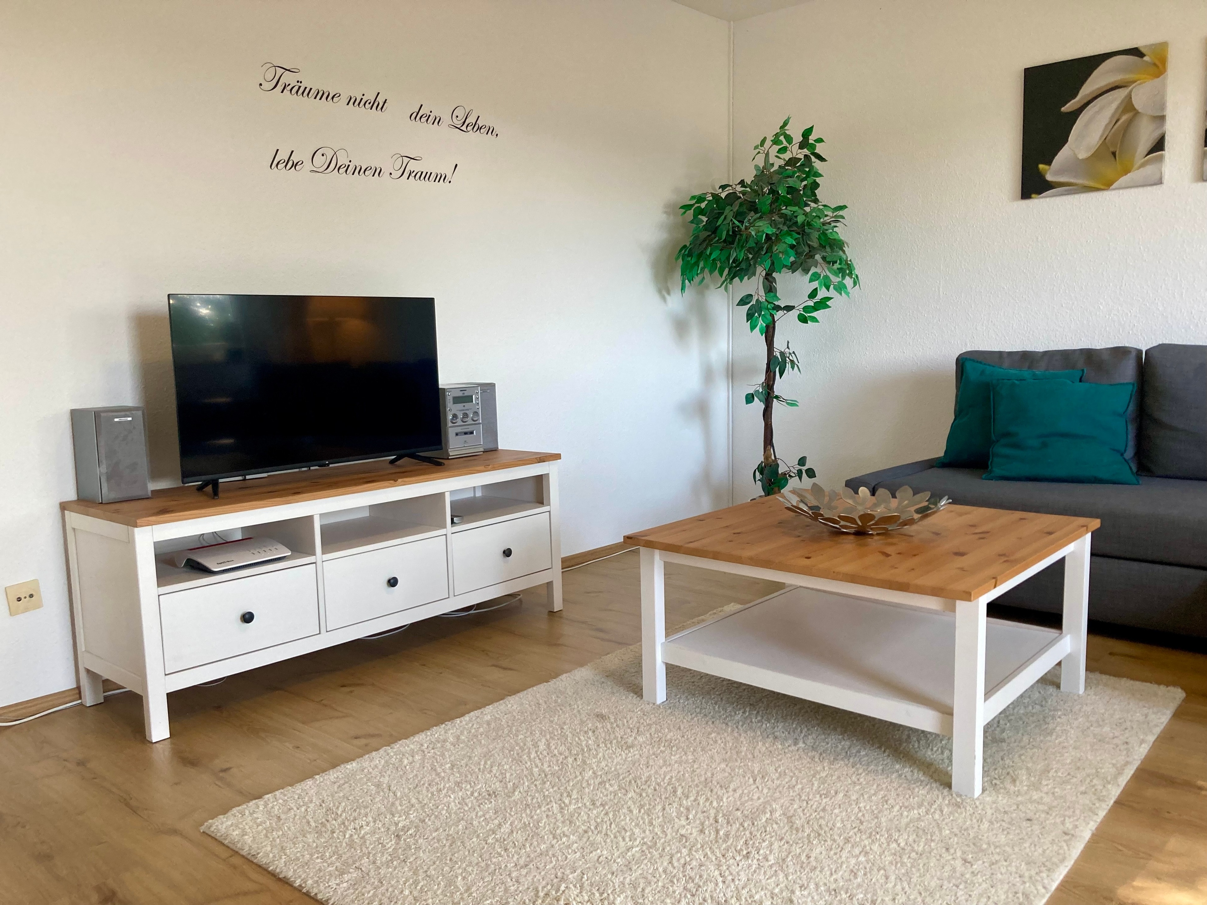 Fewo DEICHBLICK by fewo-plan (HORS130) an der Nordsee bei Horumersiel-Schillig — Foto 12