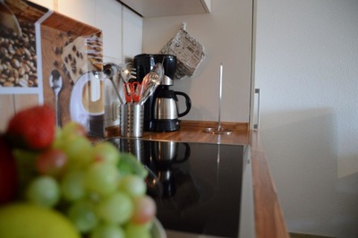 Foto 5 Ferienwohnung Ostfriesland Norddeich & Umgebung Feldblick - im Landhaus Haan (Objekt 88193) Reise