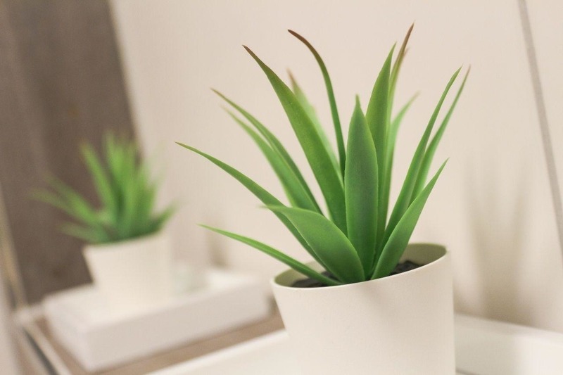 Foto 12 Ferienwohnung Ostfriesland Norddeich & Umgebung Meer 18 (Objekt 88128) suchen