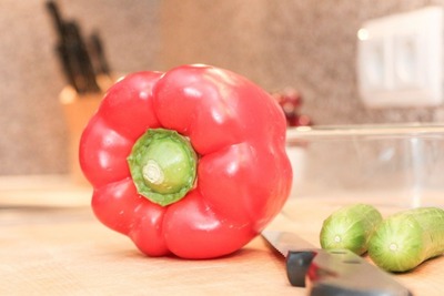 Foto 5 Ferienwohnung Ostfriesland Norddeich & Umgebung Hering (Objekt 88077) Reise