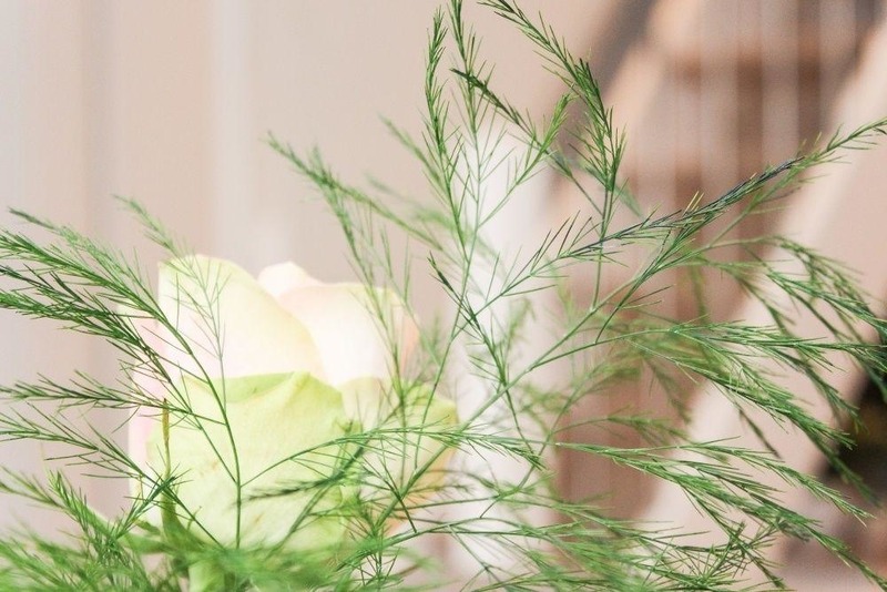 Foto 7 Ferienwohnung Ostfriesland Norddeich & Umgebung Norddeich  Stern (Objekt 88154) suchen