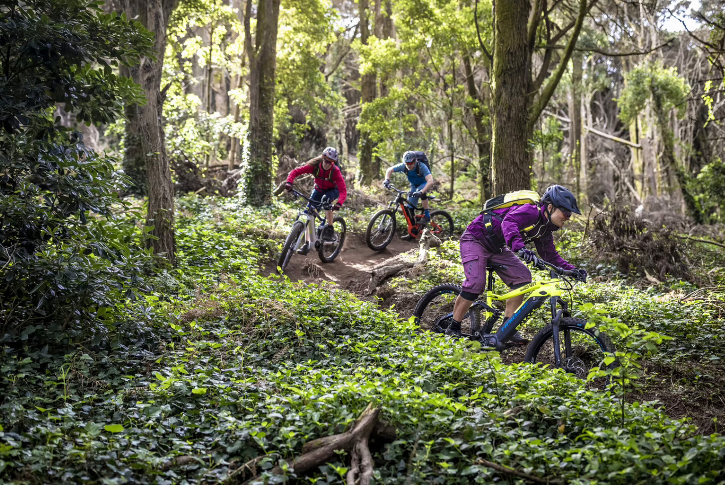 Almhütte Nähe Schladming am Dachstein by FeWo-Plan (PONG100) — Foto 48