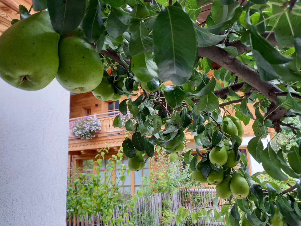 Chalet mit Naturbadeteich Frauenkogel by FeWo-Plan  (GROA101) — Foto 21