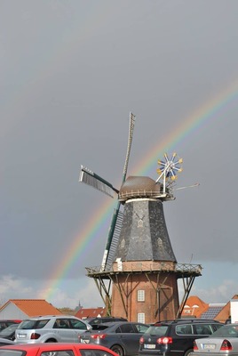 Foto 14 Ferienhaus Ostfriesland Norddeich & Umgebung Ferienhaus Seestern (Objekt 76624) Urlaub