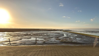 Foto 30 Ferienwohnung Ostfriesland Dornum & Umgebung Ferienwohnung Shih Tzu (Objekt 85248) Reise