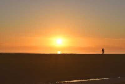 Foto 32 Ferienwohnung Ostfriesland Dornum & Umgebung Ferienwohnung Shih Tzu (Objekt 85248) suchen