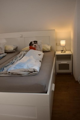 Foto 21 Ferienwohnung Ostfriesland Dornum & Umgebung Ferienwohnung Spitz (Objekt 85223) buchen