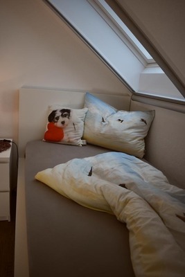 Foto 12 Ferienwohnung Ostfriesland Dornum & Umgebung Ferienwohnung Zwergpinscher (Objekt 85239) suchen