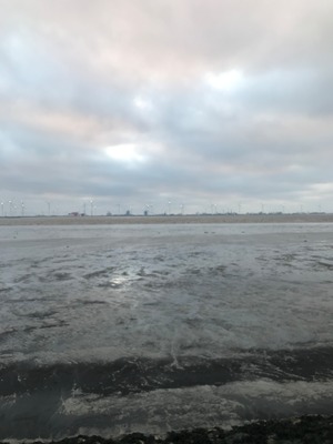 Foto 12 Ferienhaus Ostfriesland Krummhörn & Umgebung Luetje-Huuske (Objekt 92456) suchen