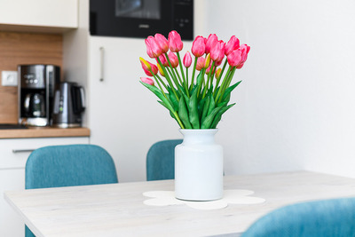 Foto 12 Ferienwohnung Ostfriesland Neuharlingersiel & Umgebung Strandkorb 5 (Objekt 92431) suchen