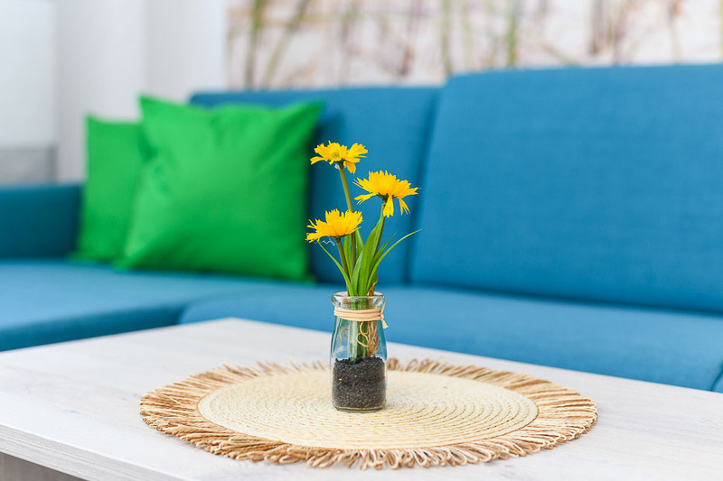 Foto 14 Ferienwohnung Ostfriesland Neuharlingersiel & Umgebung Strandkorb 5 (Objekt 92431) Urlaub