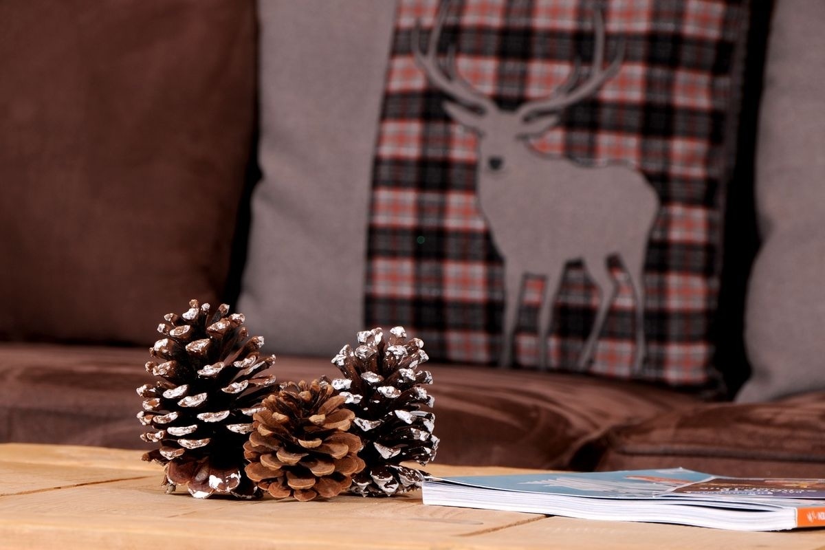 Almchalet Dorfblick – Bild 14