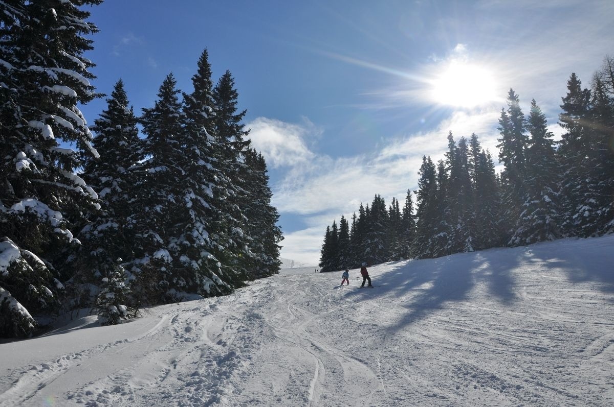 Almliebe-Feriendorf Koralpe — Foto 7