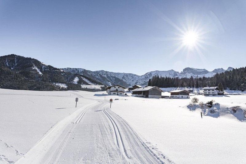 Foto 7 Ferienhaus Ostfriesland Oldenburg & Umgebung Blockhütte Mühlegg (Objekt 85213) suchen