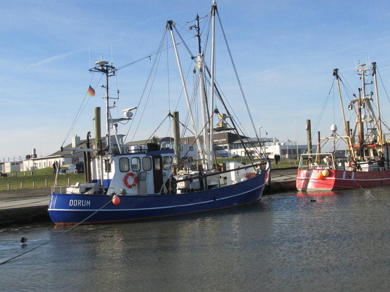 Foto 16 Ferienhaus Ostfriesland Zwischen Elbe und Weser Albatros-Herber (Objekt 85233) buchen