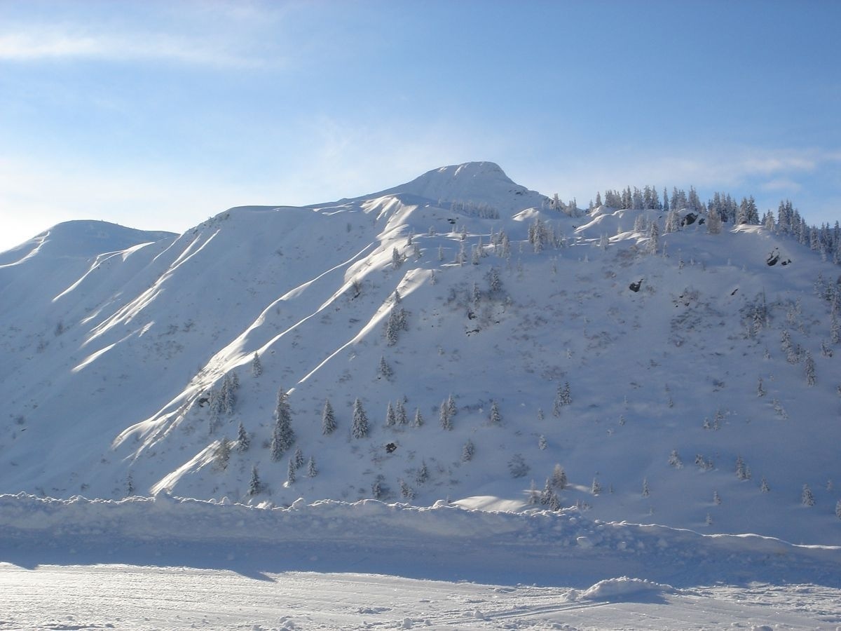 Chalet Brechhorn Premium — Foto 14