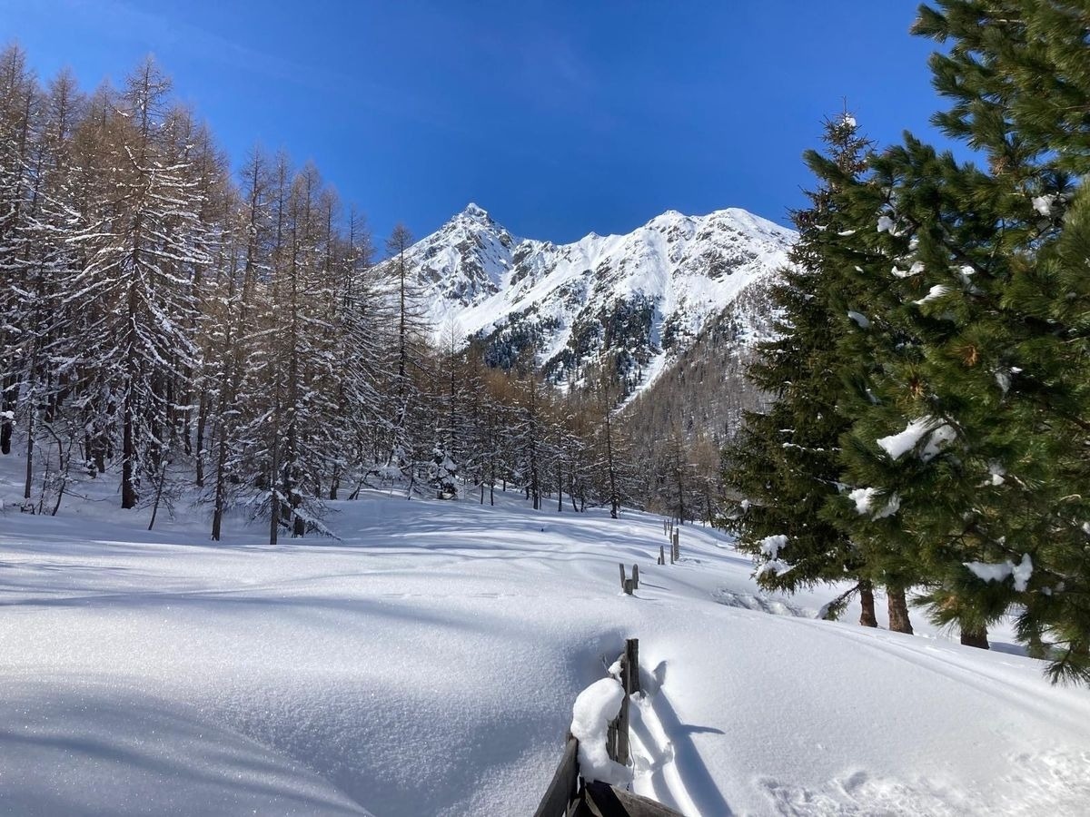 Chalet Mondstein – Bild 7