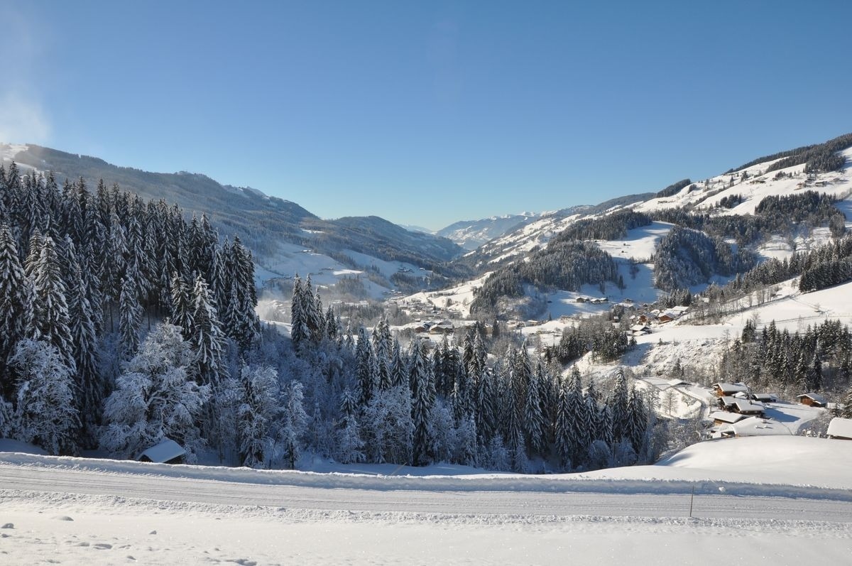 Chalet Naturblick am ZwisleggGut – Bild 7