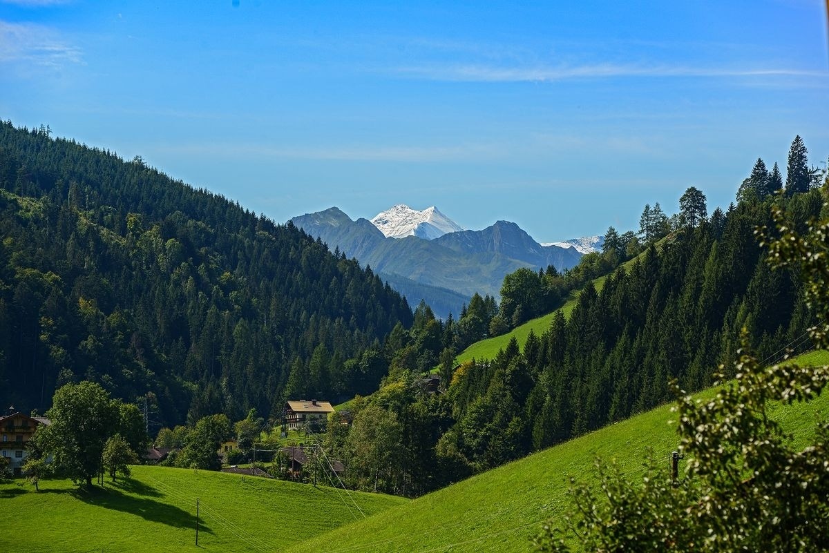 Gams Lodge – Bild 3