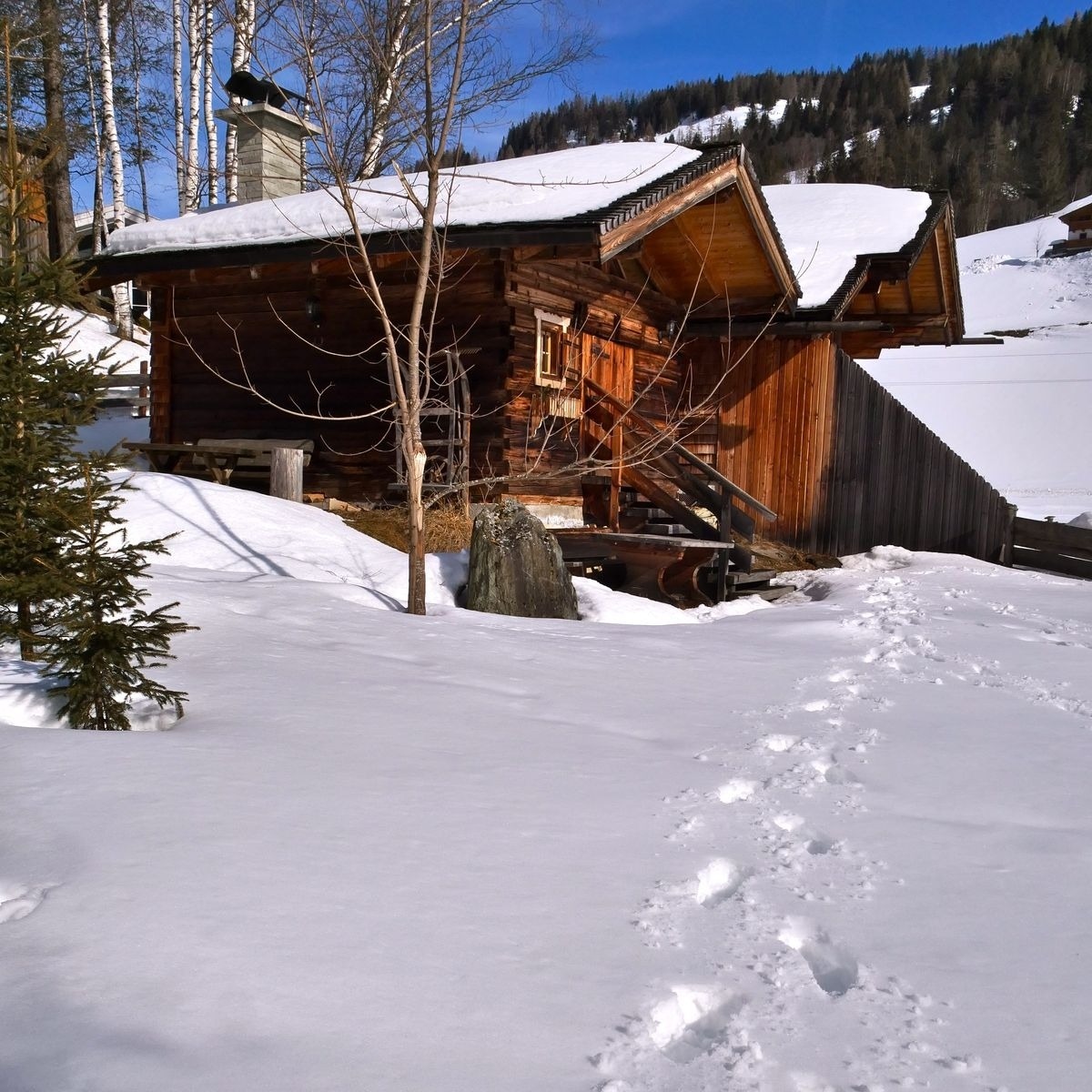 Goldwäscherhütte – Bild 3