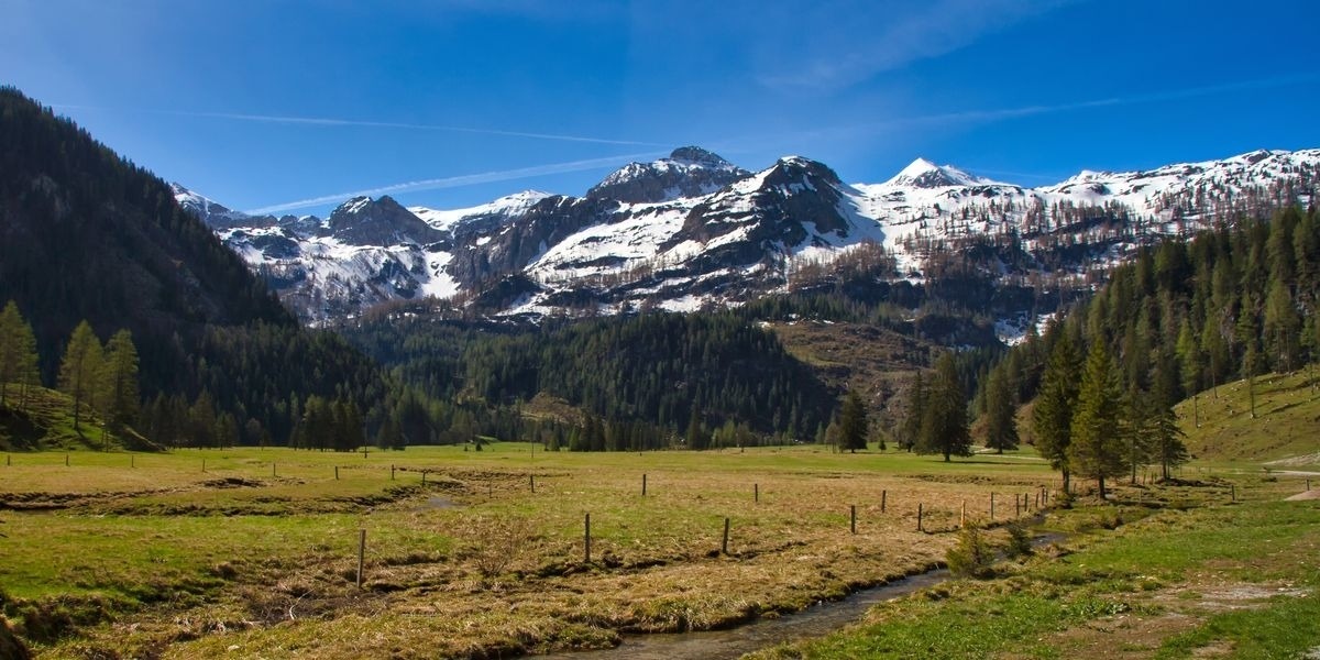 Gottschallalm – Bild 5