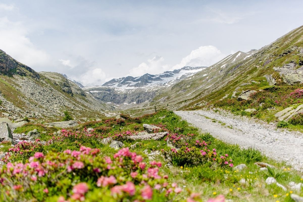 Landeckalm – Bild 7