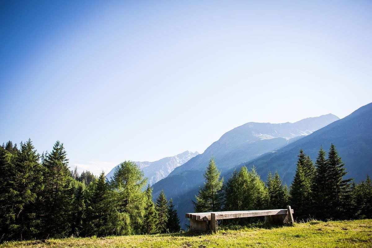 Landeckalm – Bild 25