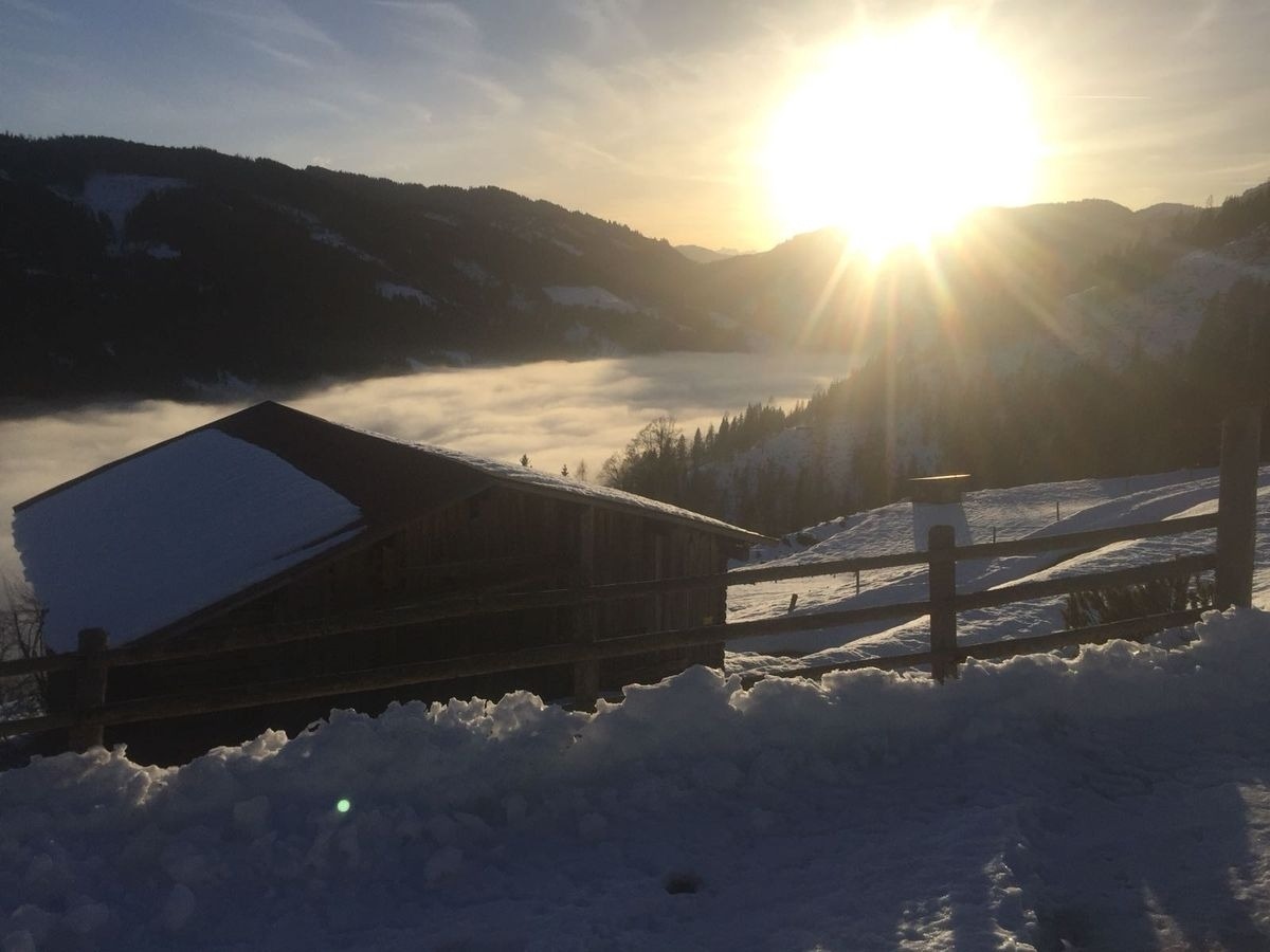 Rauchenbachalm – Bild 3