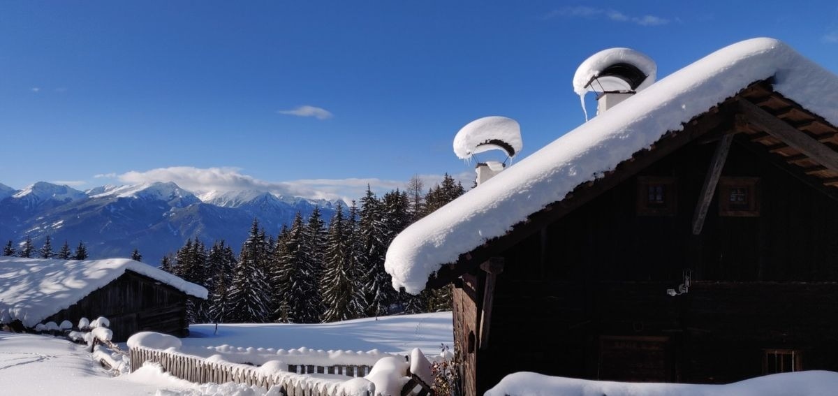 Reh's Wiesen Hütte – Bild 3