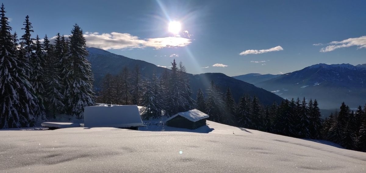 Reh's Wiesen Hütte – Bild 5