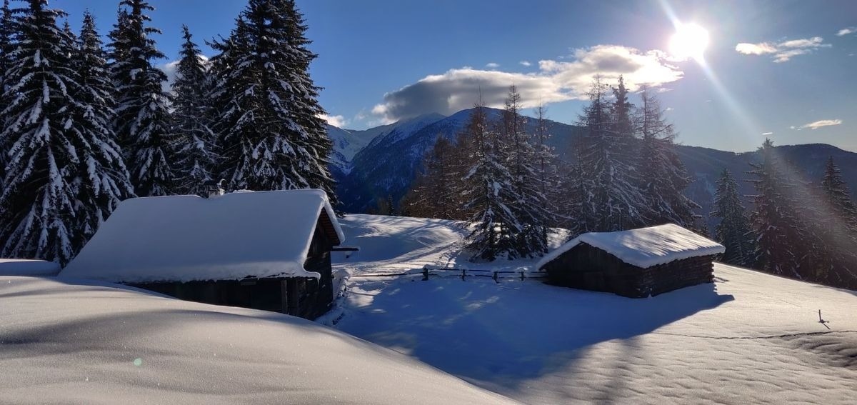 Reh's Wiesen Hütte – Bild 7