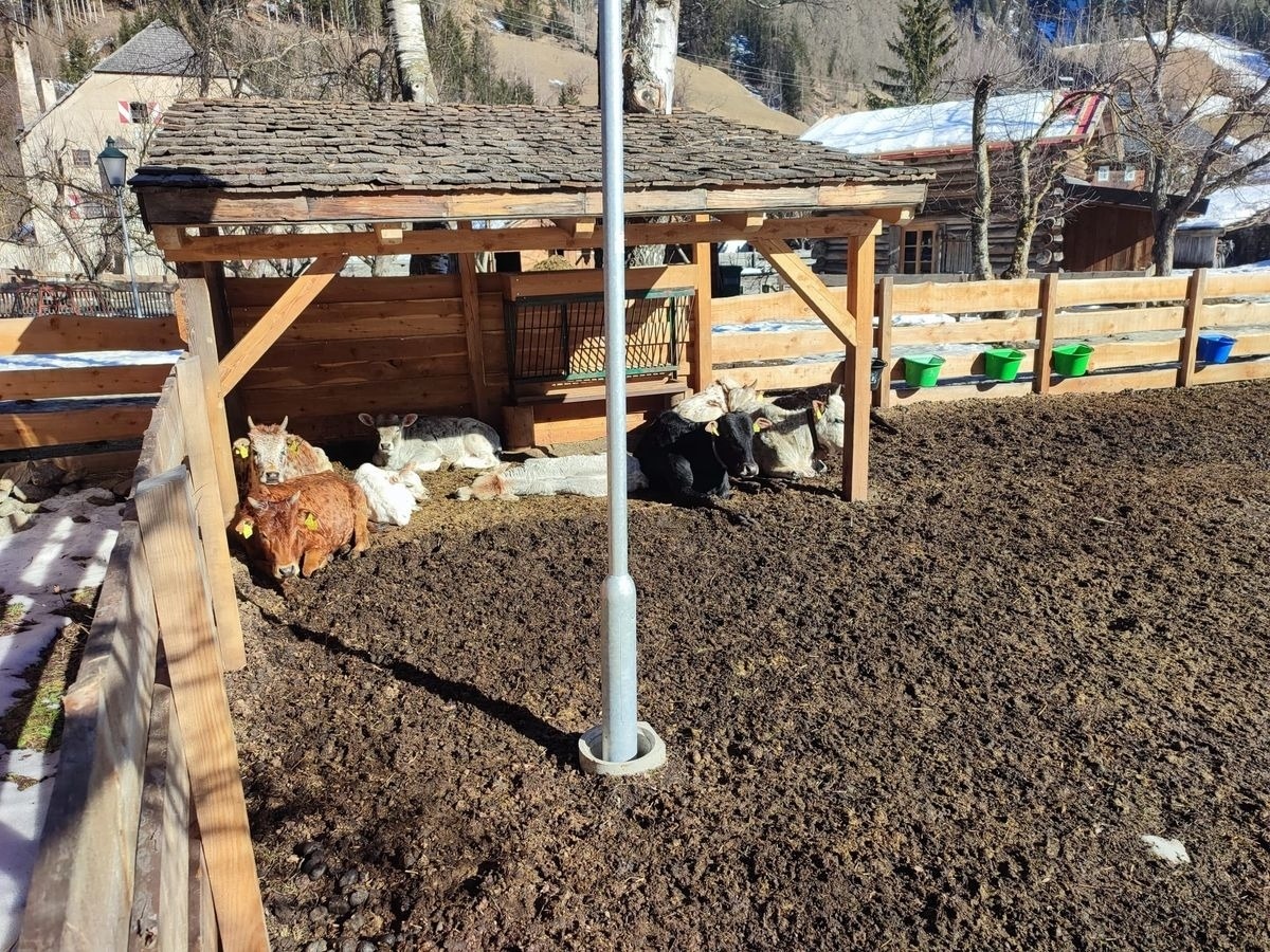 Schlosswirt Chalet I — Foto 16