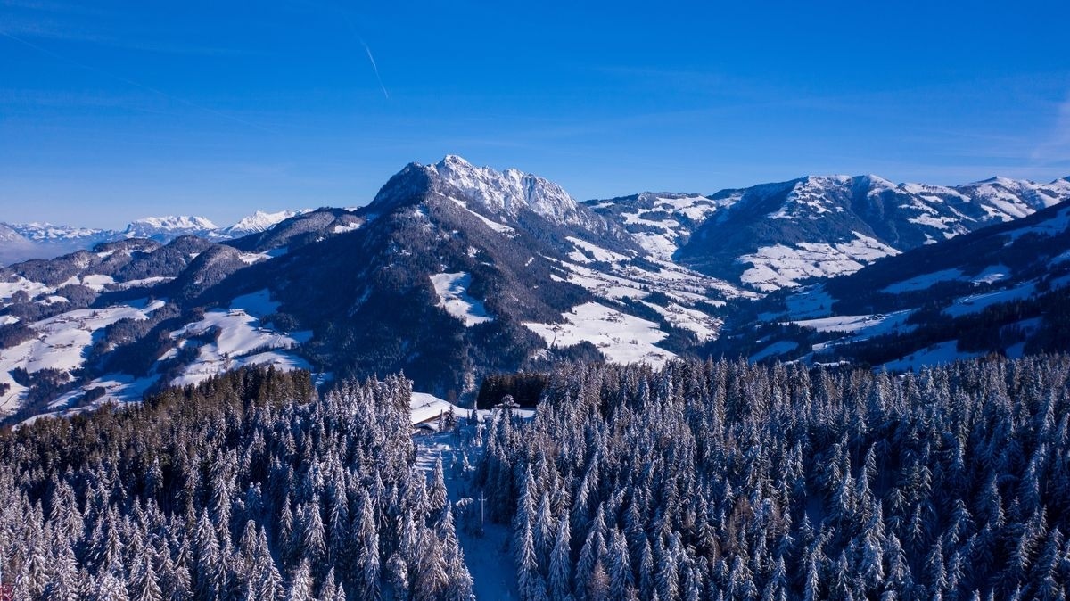 Steindl Häusl – Bild 3