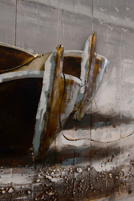 Foto 5 Ferienwohnung Ostfriesland Norddeich & Umgebung Deichdeck 1 UL (Objekt 92433) Reise