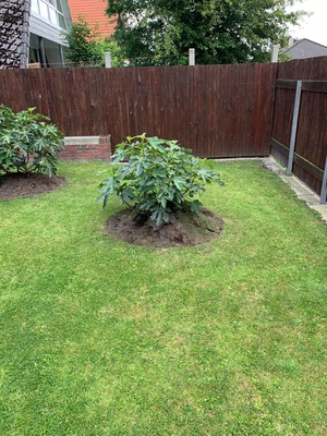 Foto 23 Ferienwohnung Ostfriesland Norddeich & Umgebung Ferienhaus Ankerweg an der Seehundstation Typ C (Objekt 92441) Nordsee