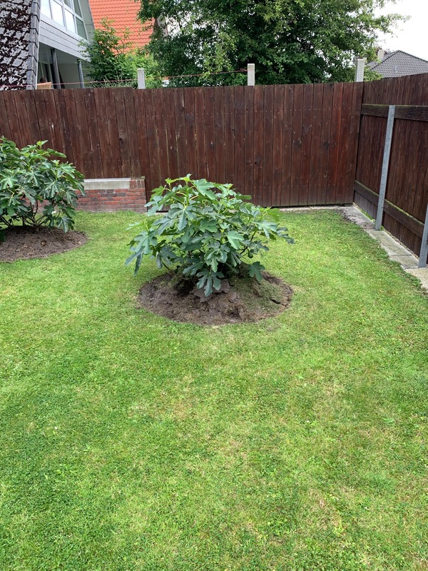 Foto 23 Ferienwohnung Ostfriesland Norddeich & Umgebung Ferienhaus Ankerweg an der Seehundstation Typ C (Objekt 92441) Nordsee